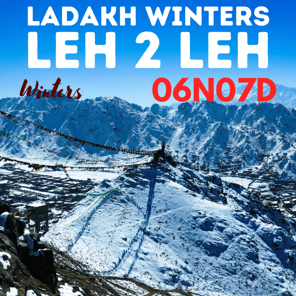 Ice, monasteries & endless skies — Leh winters hit different.